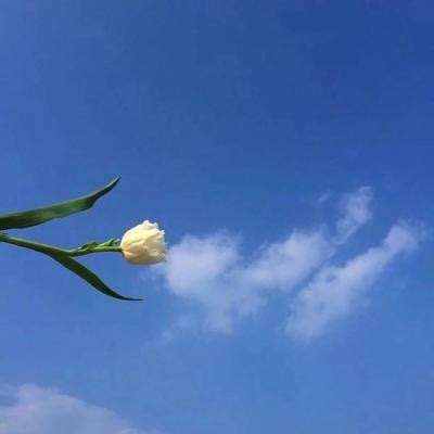 魔法禁书目录九游版下载安装最新版